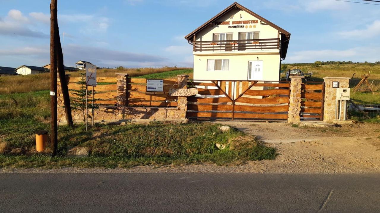 Pensiunea Agroturistica Casa Sirca Boghiş Extérieur photo