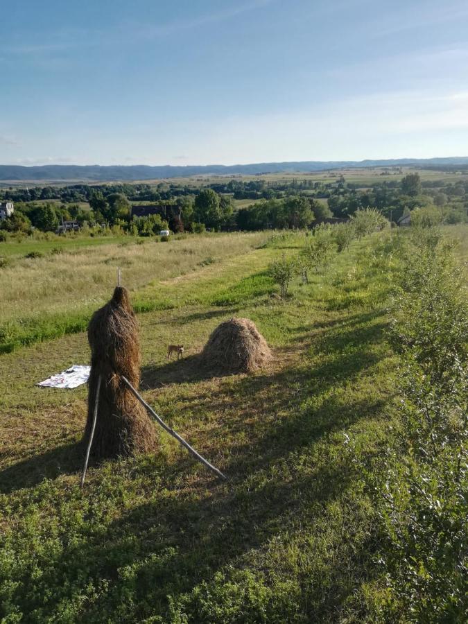 Pensiunea Agroturistica Casa Sirca Boghiş Extérieur photo