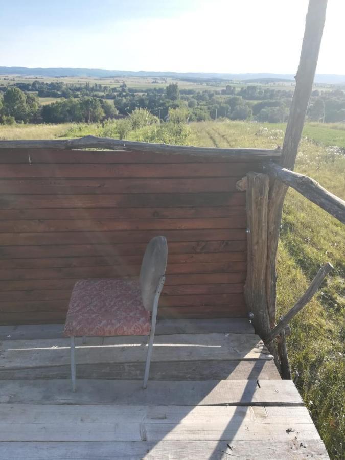Pensiunea Agroturistica Casa Sirca Boghiş Extérieur photo