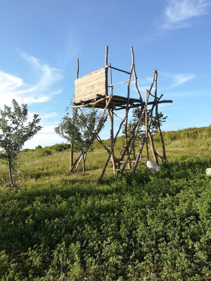 Pensiunea Agroturistica Casa Sirca Boghiş Extérieur photo