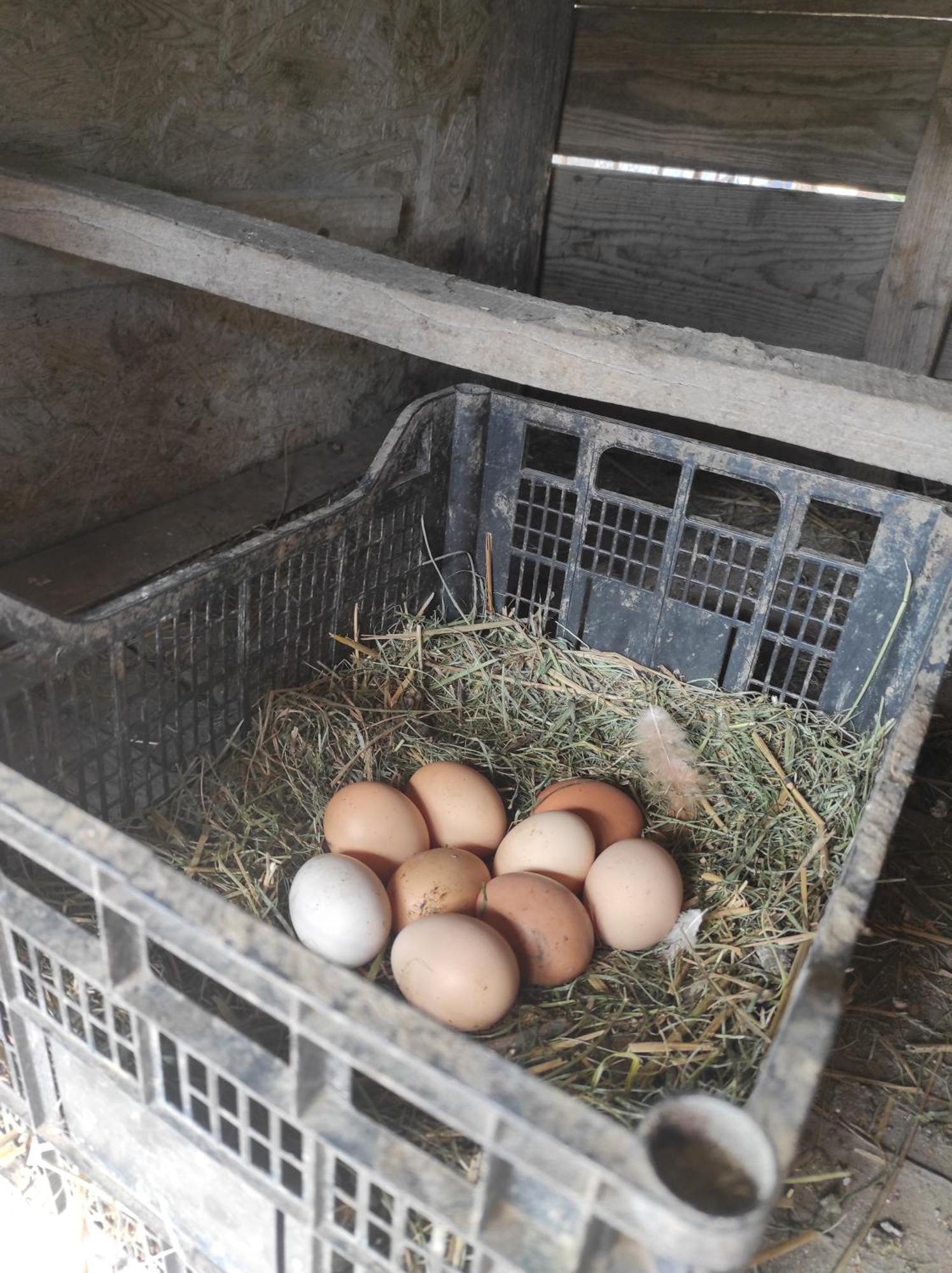 Pensiunea Agroturistica Casa Sirca Boghiş Extérieur photo
